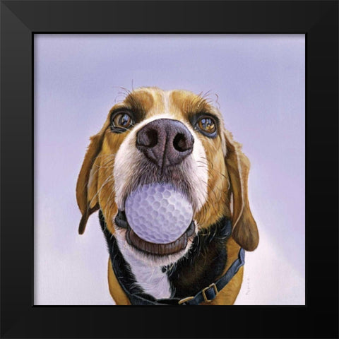 Denver Black Modern Wood Framed Art Print by Ruby, James