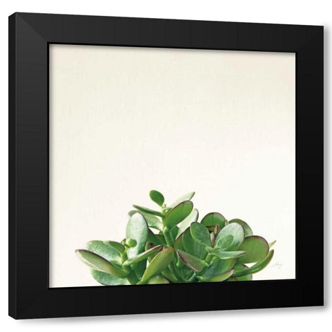 Succulent Simplicity III Neutral Black Modern Wood Framed Art Print with Double Matting by Bradley, Felicity