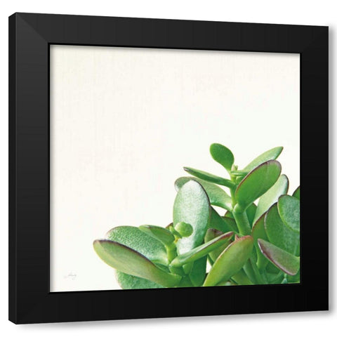 Succulent Simplicity IV Neutral Black Modern Wood Framed Art Print with Double Matting by Bradley, Felicity