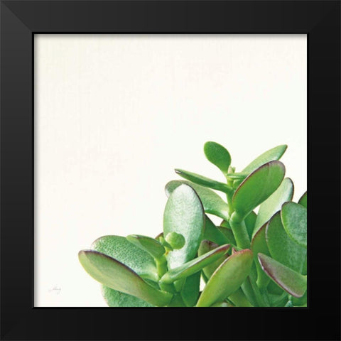 Succulent Simplicity IV Neutral Black Modern Wood Framed Art Print by Bradley, Felicity