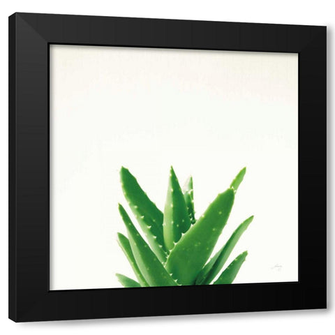 Succulent Simplicity V Neutral Black Modern Wood Framed Art Print with Double Matting by Bradley, Felicity