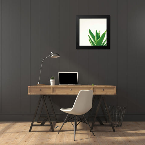Succulent Simplicity VI Neutral Black Modern Wood Framed Art Print by Bradley, Felicity