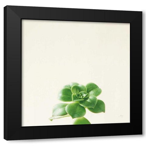 Succulent Simplicity VII Neutral Black Modern Wood Framed Art Print by Bradley, Felicity