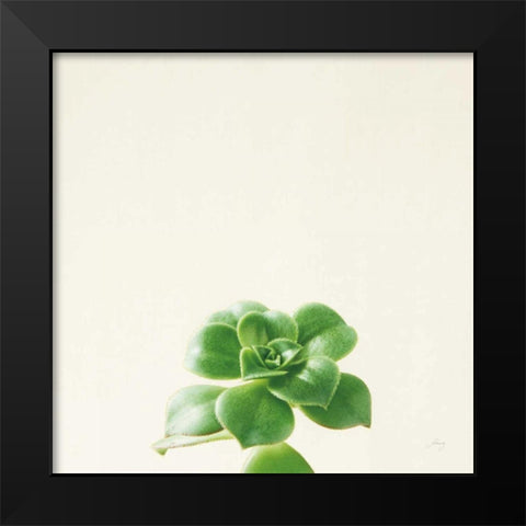 Succulent Simplicity VII Neutral Black Modern Wood Framed Art Print by Bradley, Felicity