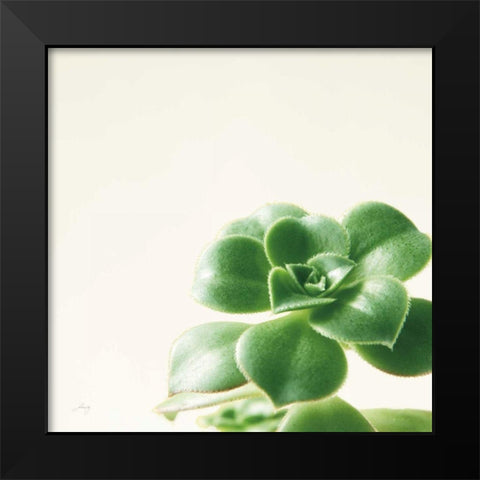 Succulent Simplicity VIII Neutral Black Modern Wood Framed Art Print by Bradley, Felicity