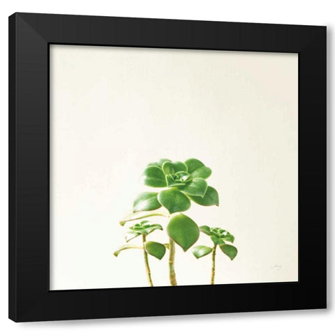Succulent Simplicity IX Neutral Black Modern Wood Framed Art Print with Double Matting by Bradley, Felicity