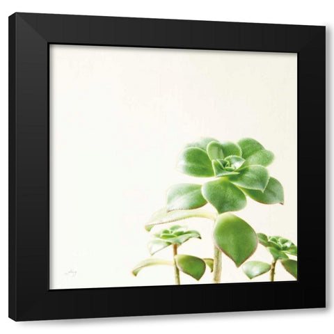 Succulent Simplicity X Neutral Black Modern Wood Framed Art Print by Bradley, Felicity