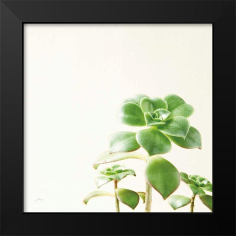 Succulent Simplicity X Neutral Black Modern Wood Framed Art Print by Bradley, Felicity