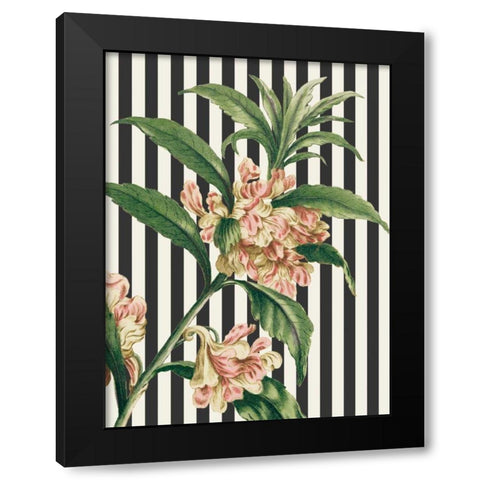 Herbal Botanical XXVI Bold Black Modern Wood Framed Art Print by Wild Apple Portfolio