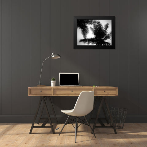 Palm Tree Looking Up I Black Modern Wood Framed Art Print by Van Swearingen, Debra