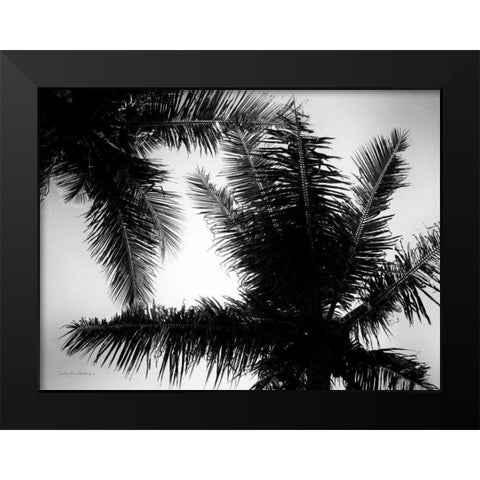 Palm Tree Looking Up I Black Modern Wood Framed Art Print by Van Swearingen, Debra