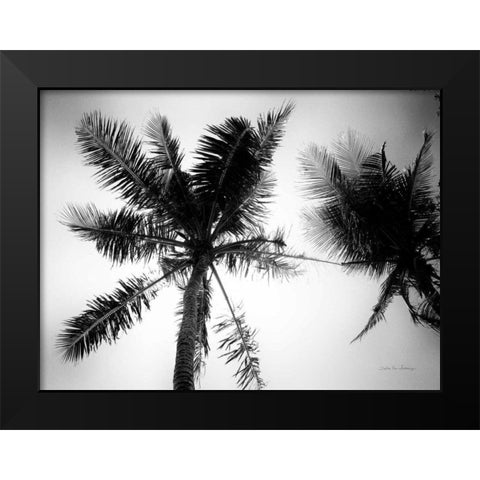 Palm Tree Looking Up II Black Modern Wood Framed Art Print by Van Swearingen, Debra