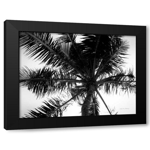 Palm Tree Looking Up III Black Modern Wood Framed Art Print by Van Swearingen, Debra