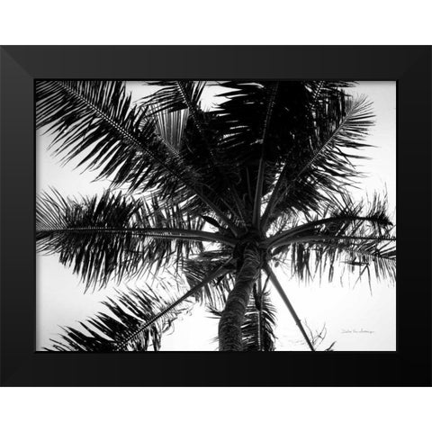 Palm Tree Looking Up III Black Modern Wood Framed Art Print by Van Swearingen, Debra