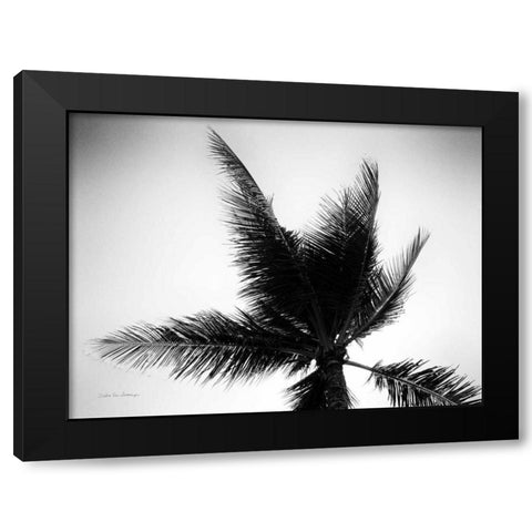 Palm Tree Looking Up IV Black Modern Wood Framed Art Print with Double Matting by Van Swearingen, Debra