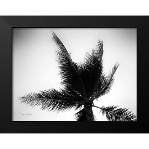 Palm Tree Looking Up IV Black Modern Wood Framed Art Print by Van Swearingen, Debra