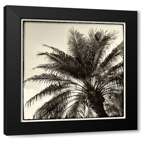 Palm Tree Sepia I Black Modern Wood Framed Art Print with Double Matting by Van Swearingen, Debra