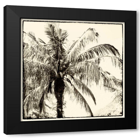 Palm Tree Sepia III Black Modern Wood Framed Art Print with Double Matting by Van Swearingen, Debra