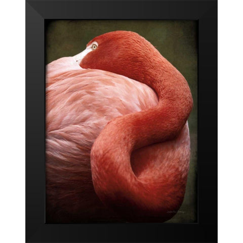 Caribbean Flamingo I Black Modern Wood Framed Art Print by Van Swearingen, Debra
