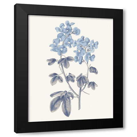 Blue Botanical III Black Modern Wood Framed Art Print with Double Matting by Wild Apple Portfolio