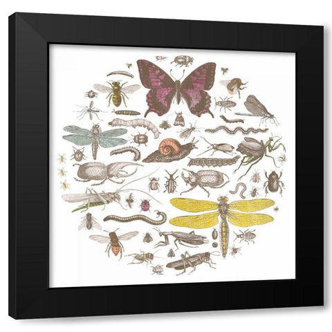 Insect Circle II Bright Black Modern Wood Framed Art Print with Double Matting by Wild Apple Portfolio