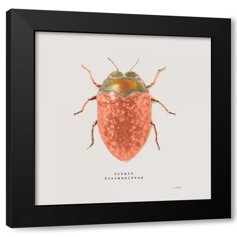 Adorning Coleoptera V Sq Camelia Black Modern Wood Framed Art Print by Wiens, James