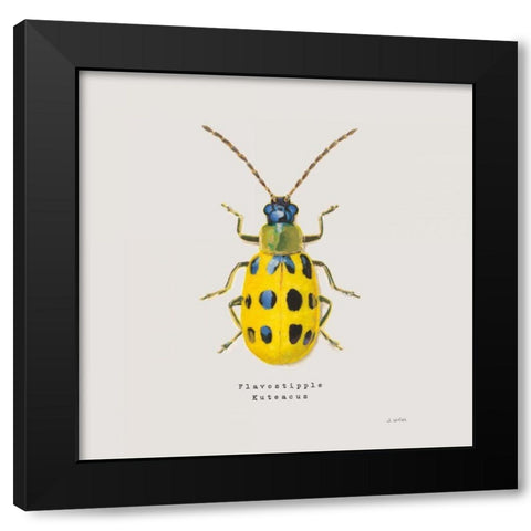 Adorning Coleoptera VII Sq Golden Black Modern Wood Framed Art Print by Wiens, James