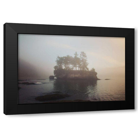 First Light Black Modern Wood Framed Art Print by Marshall, Laura