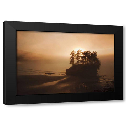 Last Light Black Modern Wood Framed Art Print with Double Matting by Marshall, Laura