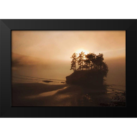 Last Light Black Modern Wood Framed Art Print by Marshall, Laura