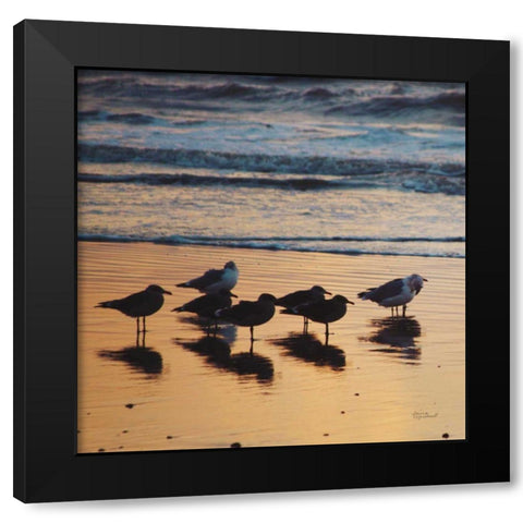 Kalaloch Birds I Black Modern Wood Framed Art Print with Double Matting by Marshall, Laura