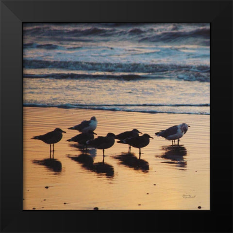 Kalaloch Birds I Black Modern Wood Framed Art Print by Marshall, Laura