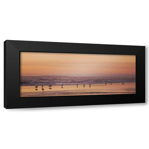 Kalaloch Birds V Black Modern Wood Framed Art Print with Double Matting by Marshall, Laura