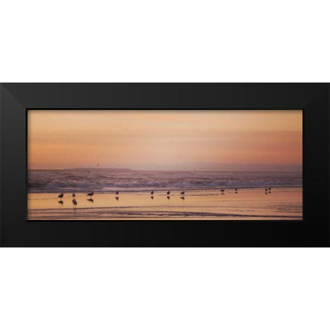 Kalaloch Birds V Black Modern Wood Framed Art Print by Marshall, Laura