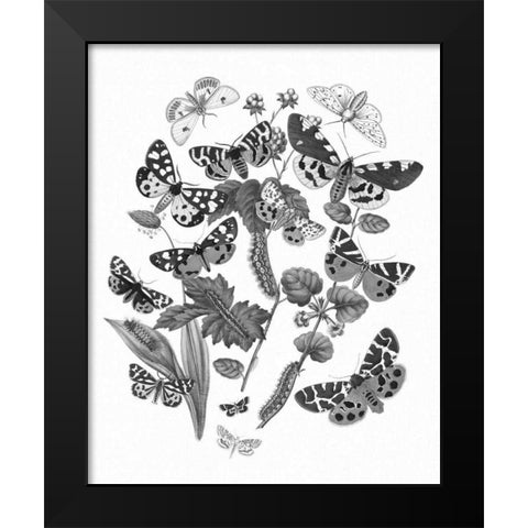 Butterfly Bouquet IV Linen BW IV Black Modern Wood Framed Art Print by Wild Apple Portfolio