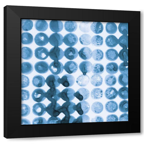 Kanari Square I Indigo Black Modern Wood Framed Art Print by Averinos, Melissa