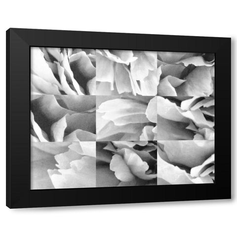 Dreamy Peony Collage Black Modern Wood Framed Art Print by Wild Apple Portfolio