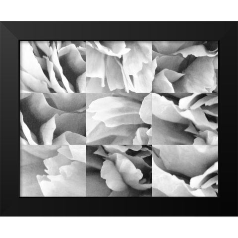 Dreamy Peony Collage Black Modern Wood Framed Art Print by Wild Apple Portfolio