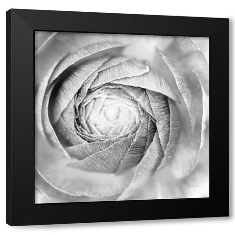 Ranunculus Abstract I BW Light Black Modern Wood Framed Art Print by Marshall, Laura