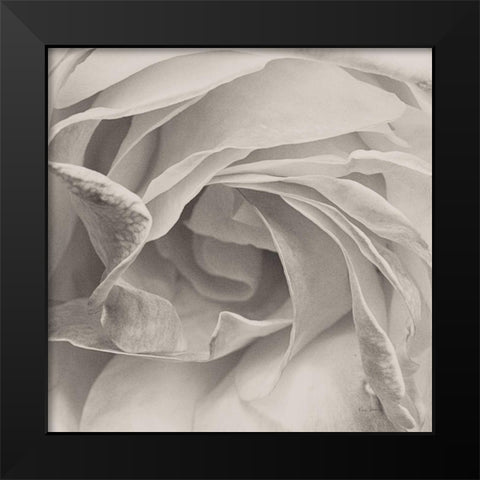 Georgia BW Black Modern Wood Framed Art Print by Bevan, Keri