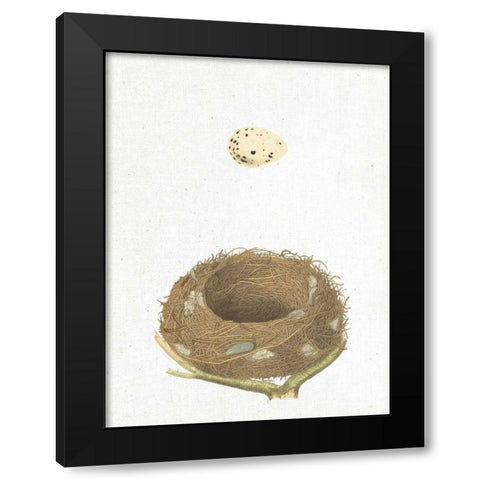 Spring Nest III Black Modern Wood Framed Art Print by Wild Apple Portfolio