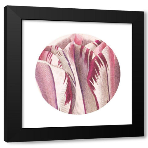 Tulips Circle Black Modern Wood Framed Art Print by Wild Apple Portfolio