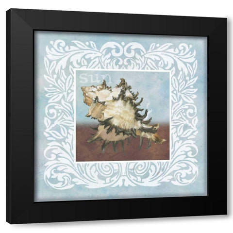 Sandy Shells Blue Spikey Black Modern Wood Framed Art Print with Double Matting by Grove, Beth