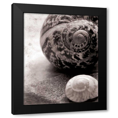 New Discoveries No Border Black Modern Wood Framed Art Print with Double Matting by Schlabach, Sue