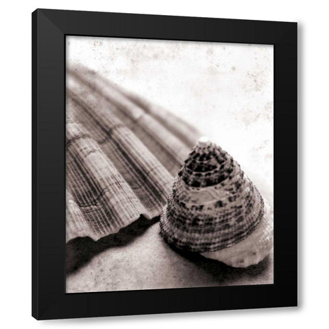 Gifts From the Sea No Border Black Modern Wood Framed Art Print by Schlabach, Sue