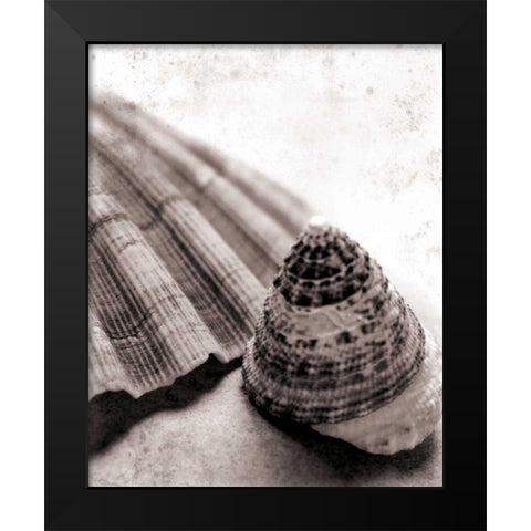 Gifts From the Sea No Border Black Modern Wood Framed Art Print by Schlabach, Sue