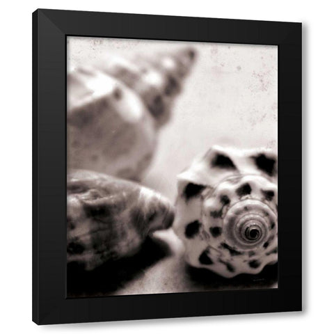 Beach Dreams Shells No Border Black Modern Wood Framed Art Print with Double Matting by Schlabach, Sue