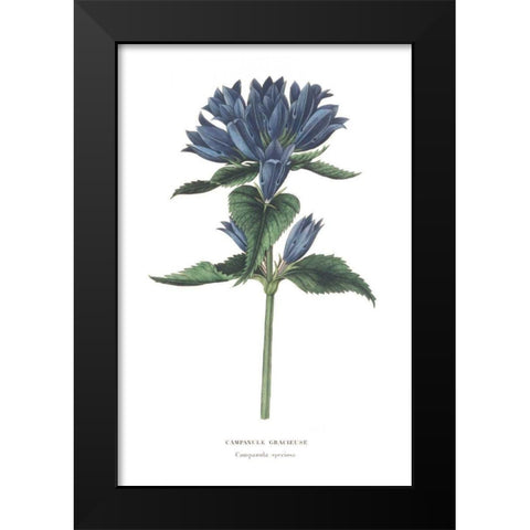 Campanula Bright Black Modern Wood Framed Art Print by Wild Apple Portfolio