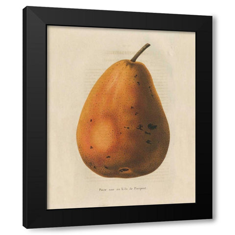 Pierpont v2 Black Modern Wood Framed Art Print by Wild Apple Portfolio