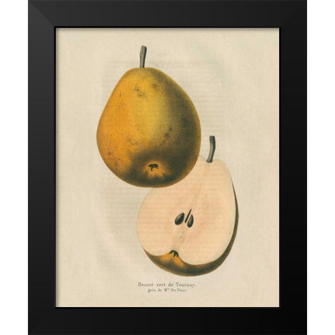 Tournay v2 Black Modern Wood Framed Art Print by Wild Apple Portfolio